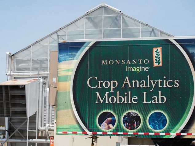 (Scheda) Monsanto: il colosso degli Ogm, tra progresso e proteste