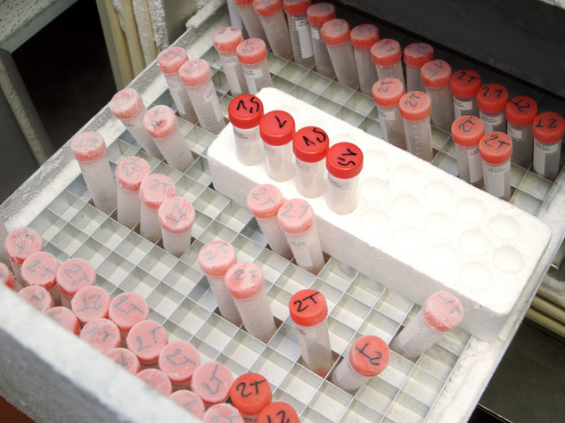 SharDna: campioni dna sardi scomparsi, ritrovate 25.200 provette