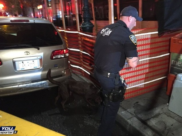 Bombe Usa, 'Rahami ha usato armi distruzione di massa'