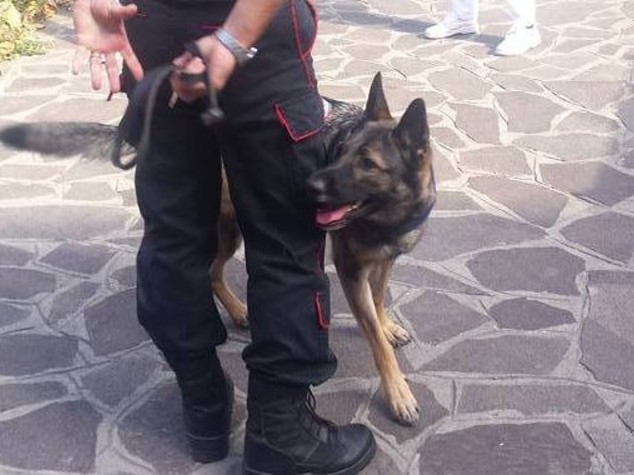 Usura: carabineri di Taranto eseguono 15 ordinanze