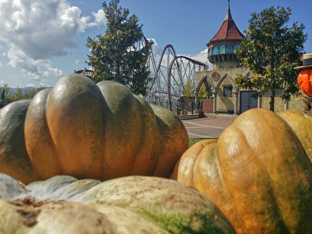 Dolcetto o scherzetto? A ottobre Halloween al Rainbow Magicland