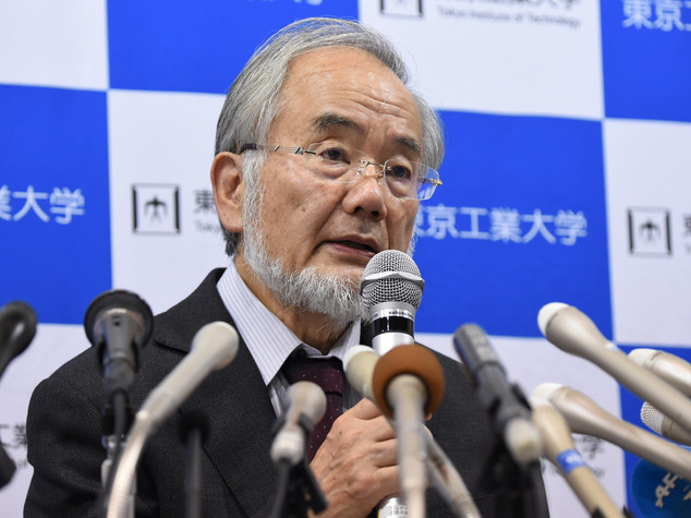 Nobel Medicina agli studi sulla fame