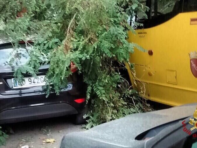 Maltempo: albero cade su scuolabus a Roma, 3 feriti tra cui una bimba