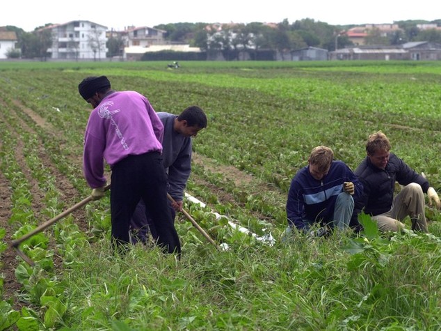 Lavoro nero, stop al caporalato. Ecco cosa cambia