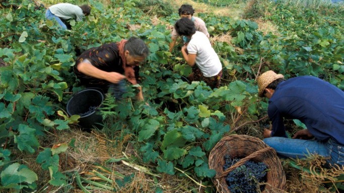 Gli immigrati che fanno girare l'economia: sono 244 milioni e mandano a casa 600 miliardi