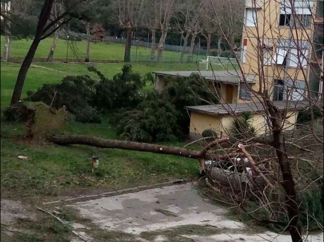 Maltempo, l'Italia nella bufera 'Sciabolata' artica fa 2 morti