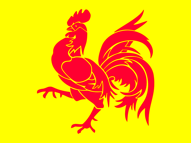 E' l'anno del Gallo. In Cina si festeggia così