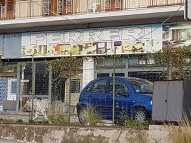 Sedata e catturata la tigre fuggita dal circo
