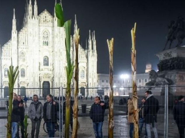 "Ma quale Africa, in Piazza Duomo ci saranno palme cinesi". Parla l'architetto