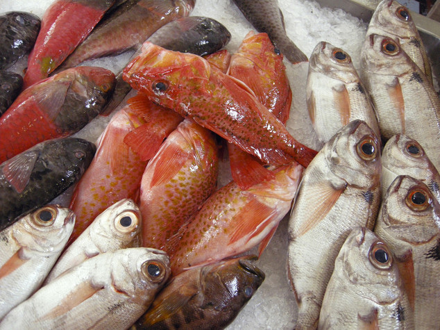 I numeri che hanno innescato la protesta dei pescatori