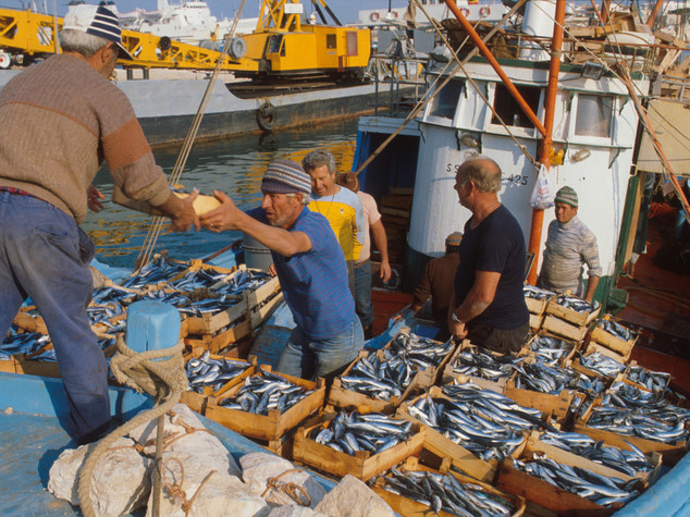 I numeri che hanno innescato la protesta dei pescatori