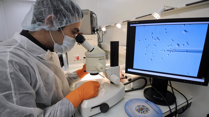 Cosa vuol dire per il futuro della medicina aver creato un embrione in laboratorio