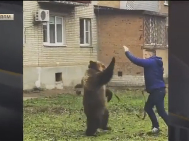 Porta a passeggio il suo orso, è ricercato dalla polizia russa
