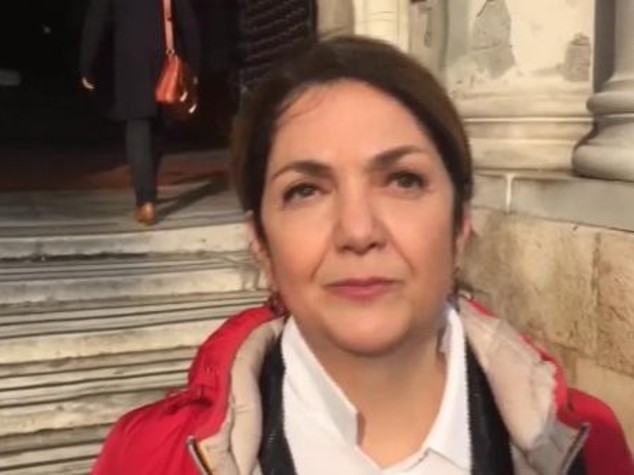 "Io Davide contro Golia". Cassimatis querela Grillo e Di Battista