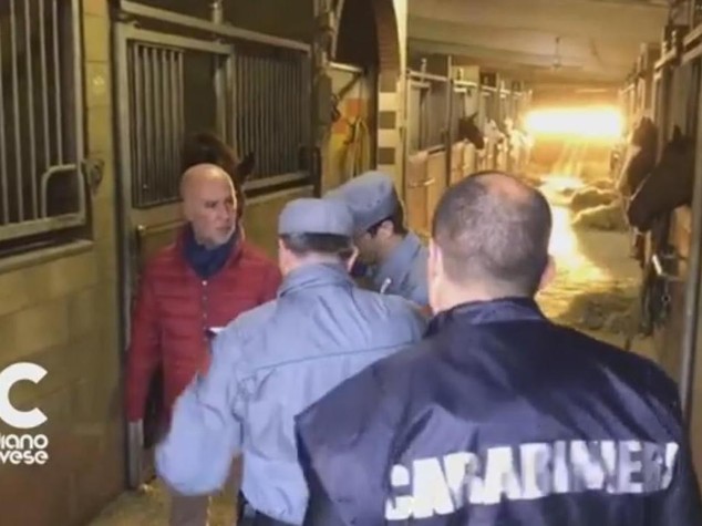 Denuncia le torture ai cavalli. I padroni del maneggio gli spezzano le braccia
