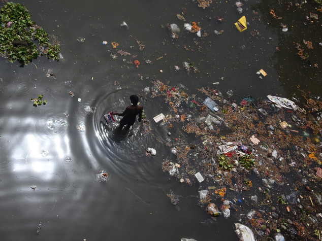 L'inquinamento di Delhi uccide anche le vacche sacre