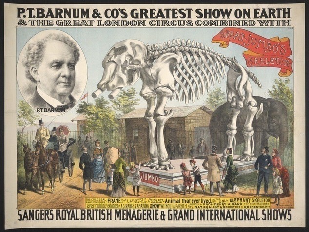 Il più grande spettacolo del mondo è finito: chiude il Circo Barnum