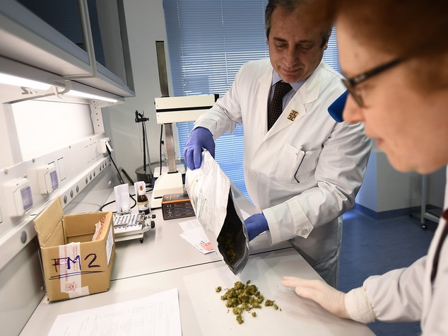 Sette farmacie multate per aver "pubblicizzato la cannabis"
