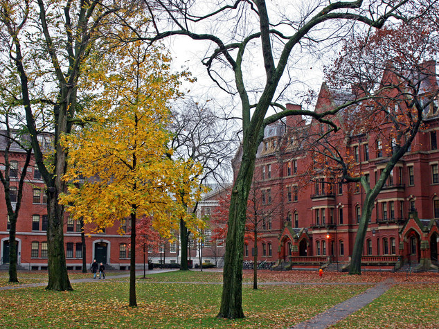 Gli studenti espulsi da Harvard per un post su Facebook