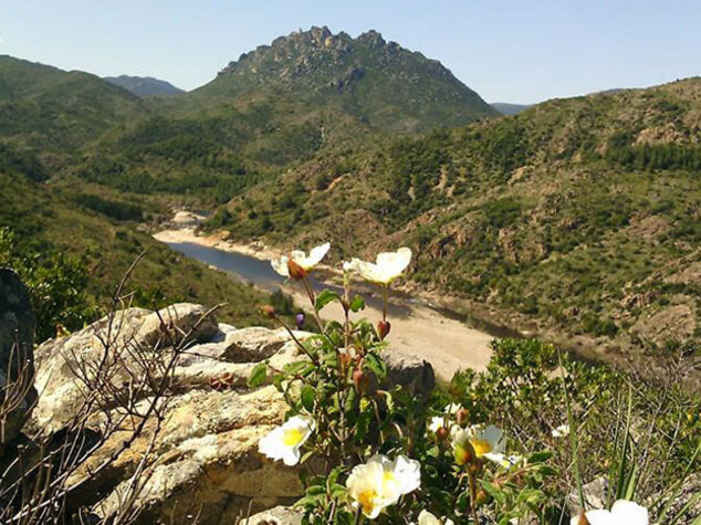 UNESCO grants recognition to Sardinia's Tepilora park