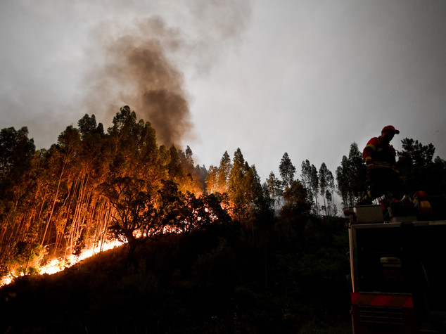 Dieci cose da fare (e non fare) contro gli incendi