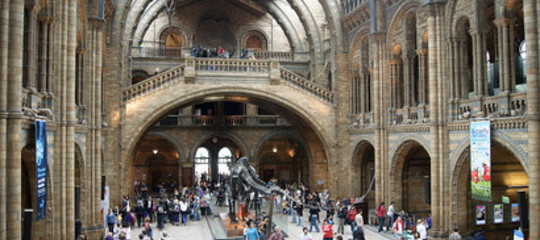 Il bambino con la sindrome di Asperger che corresse il Museo di storia naturale