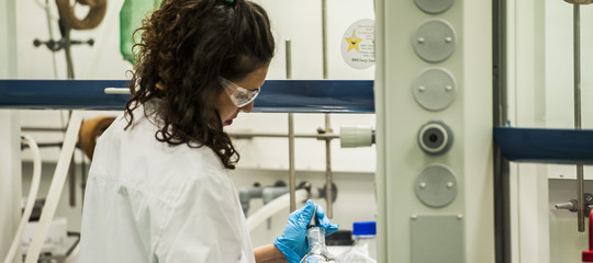 Il Genome Editing consente di avere animali più efficienti e sementi più forti. Ma l'Italia e l'Europa non stanno investendo