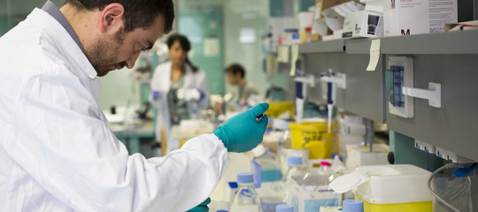 Il Genome Editing consente di avere animali più efficienti e sementi più forti. Ma l'Italia e l'Europa non stanno investendo