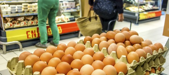 Quanto ci dobbiamo preoccupare per le uova al fipronil 'made in Italy'
