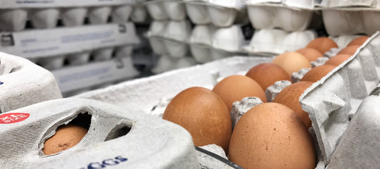 Quanto ci dobbiamo preoccupare per le uova al fipronil 'made in Italy'