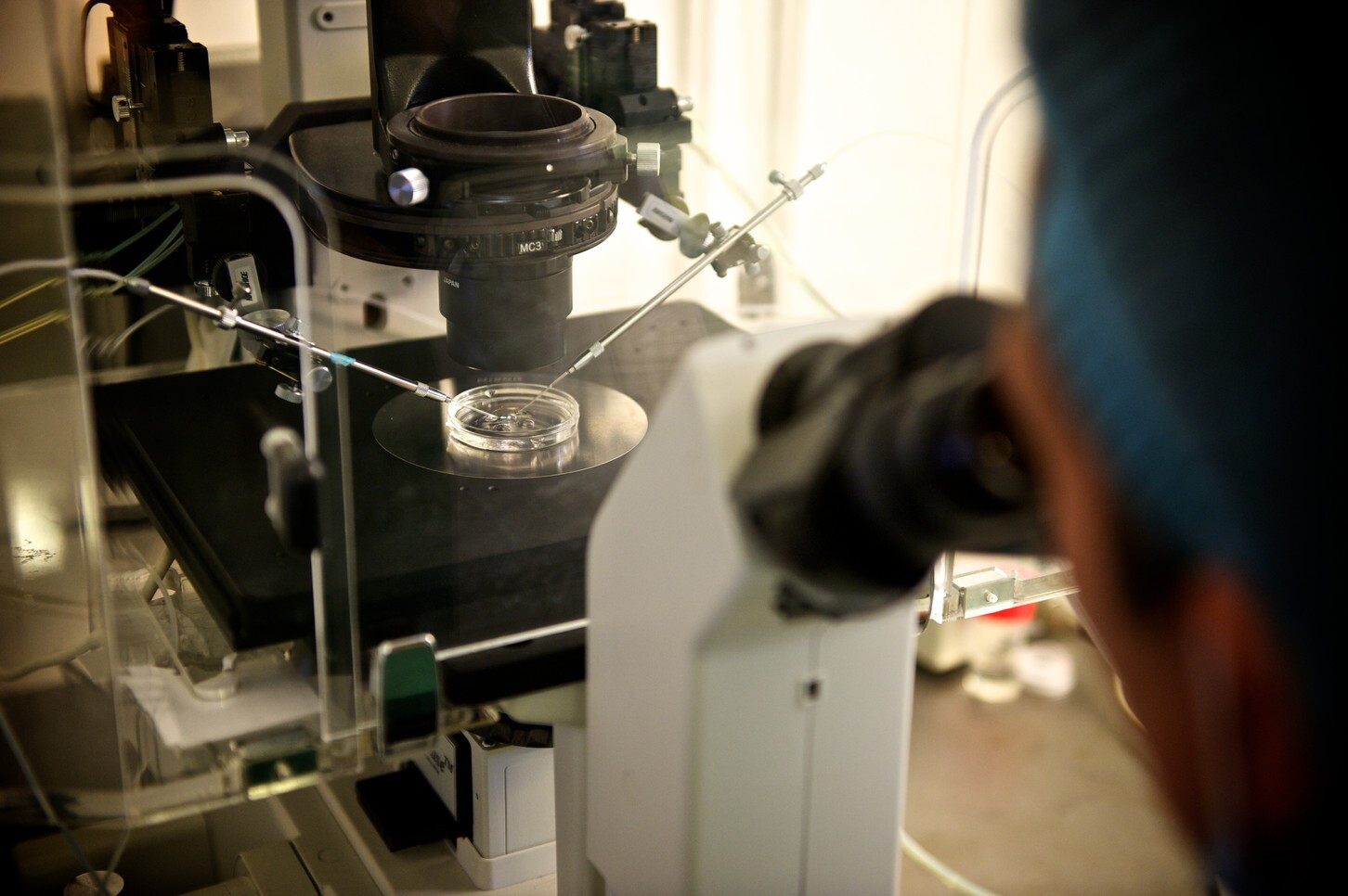 Farmaci e biopsie saranno sostituiti da microrobot