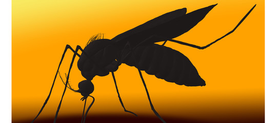 Il virus chikungunya ha conseguenze sulla salute generale delle persone o no?