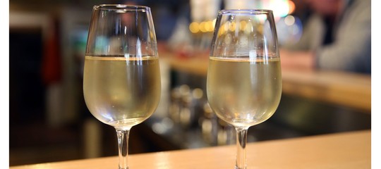Nasce il network 'Vigne di Roma', 15 aziende vinicole fanno squadra