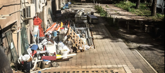 Topi, zanzare, rifiuti. Roma è davvero così malsana?