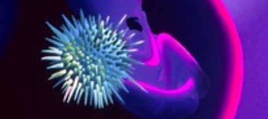 Così la biologia molecolare applicata agli anticorpi potrebbe fermare l'Aids