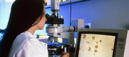 Creare una zona franca per la ricerca. Una provocazione