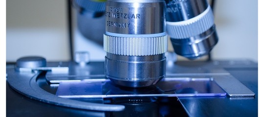 Creare una zona franca per la ricerca. Una provocazione