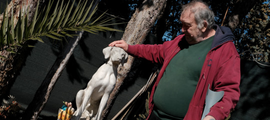 Addio Fido. Dove seppellire l'amico a quattro zampe