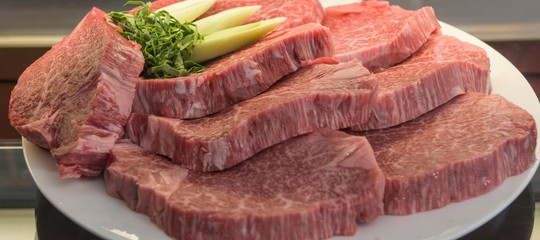 carne giapponese wagyu kobe