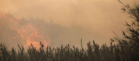 Spagna: vasti incendi in Galizia, 3 morti; fuoco assedia Vigo