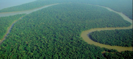 Nello scrigno dell'Amazzonia il tesoro dei "viri probati" che saranno preti