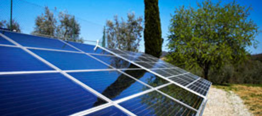 La green economy fa bene alle imprese