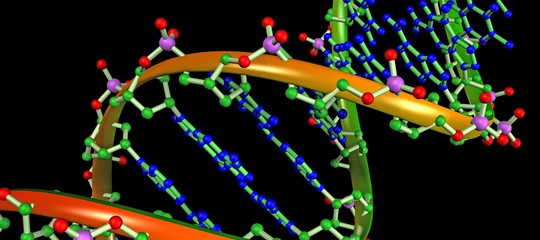 Scoperti due nuovi metodi di correzione di bozze per modificare il DNA