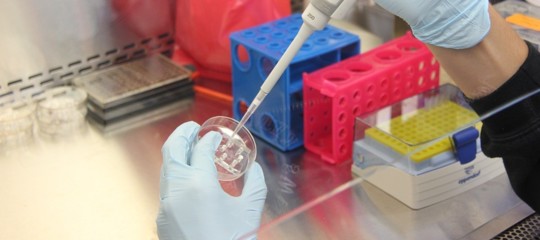 Dietro la sparizione delle provette dei donatori di Dna un intrigo internazionale?