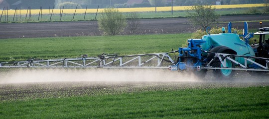 Glifosato: Commissione Ue propone rinnovo per 5 anni