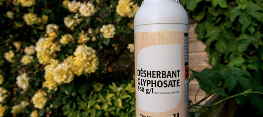 Sul glifosato nessun accordo in Europa, e negli Usa scoppia la grana per il Dicamba
