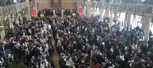 Dal WineFestival di Merano nasce Vino Fico per promuovere le giovani cantine