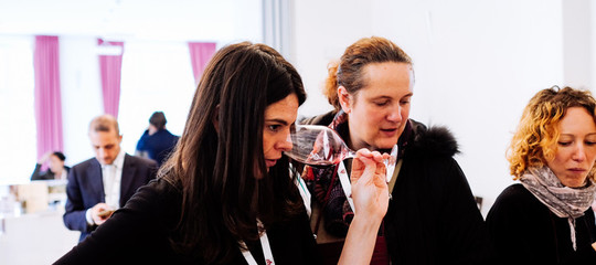 Dal WineFestival di Merano nasce Vino Fico per promuovere le giovani cantine