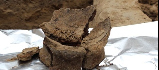 Il vino più antico del mondo è un 'vintage' georgiano di 8000 anni