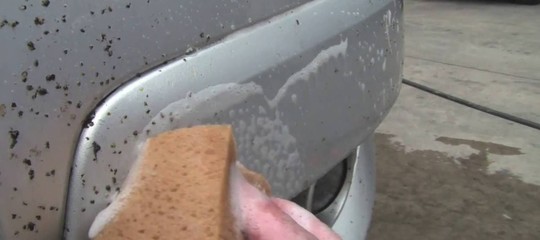 Perché non troviamo più insetti sul parabrezza dell'auto (l'avevate notato?)